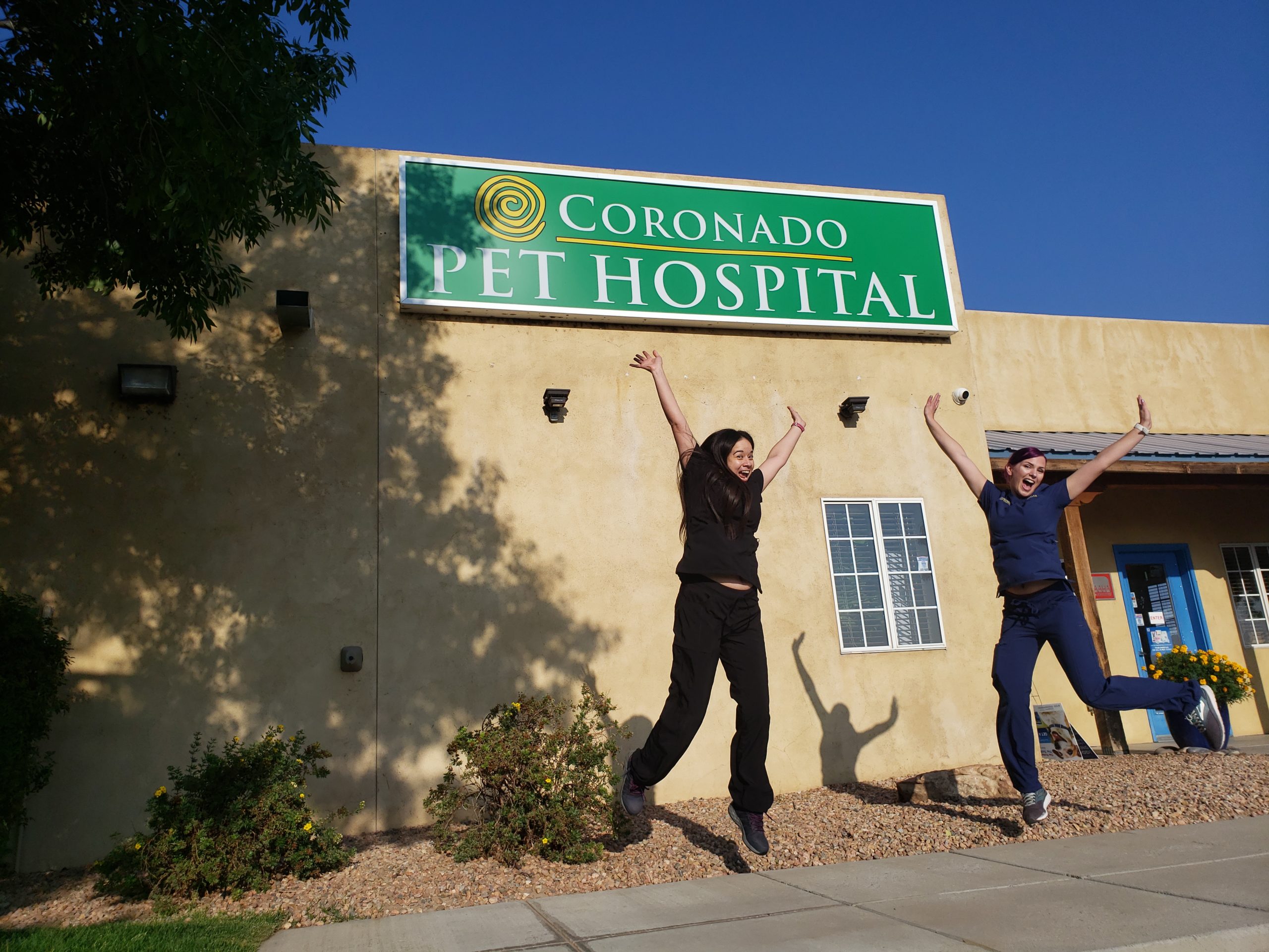 Doctors - Coronado Pet Hospital | Rio Rancho, NM 87144