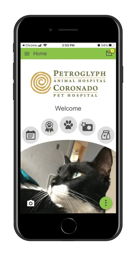 Welcome Coronado Pet Hospital