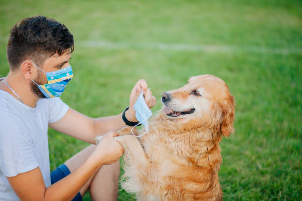 Our Vet Clinic Answers: Can My Dog Catch My Cold?